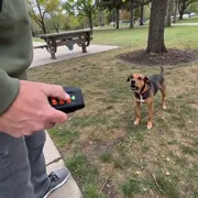 Outdoor bark control thumbnail