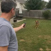 Backyard training thumbnail